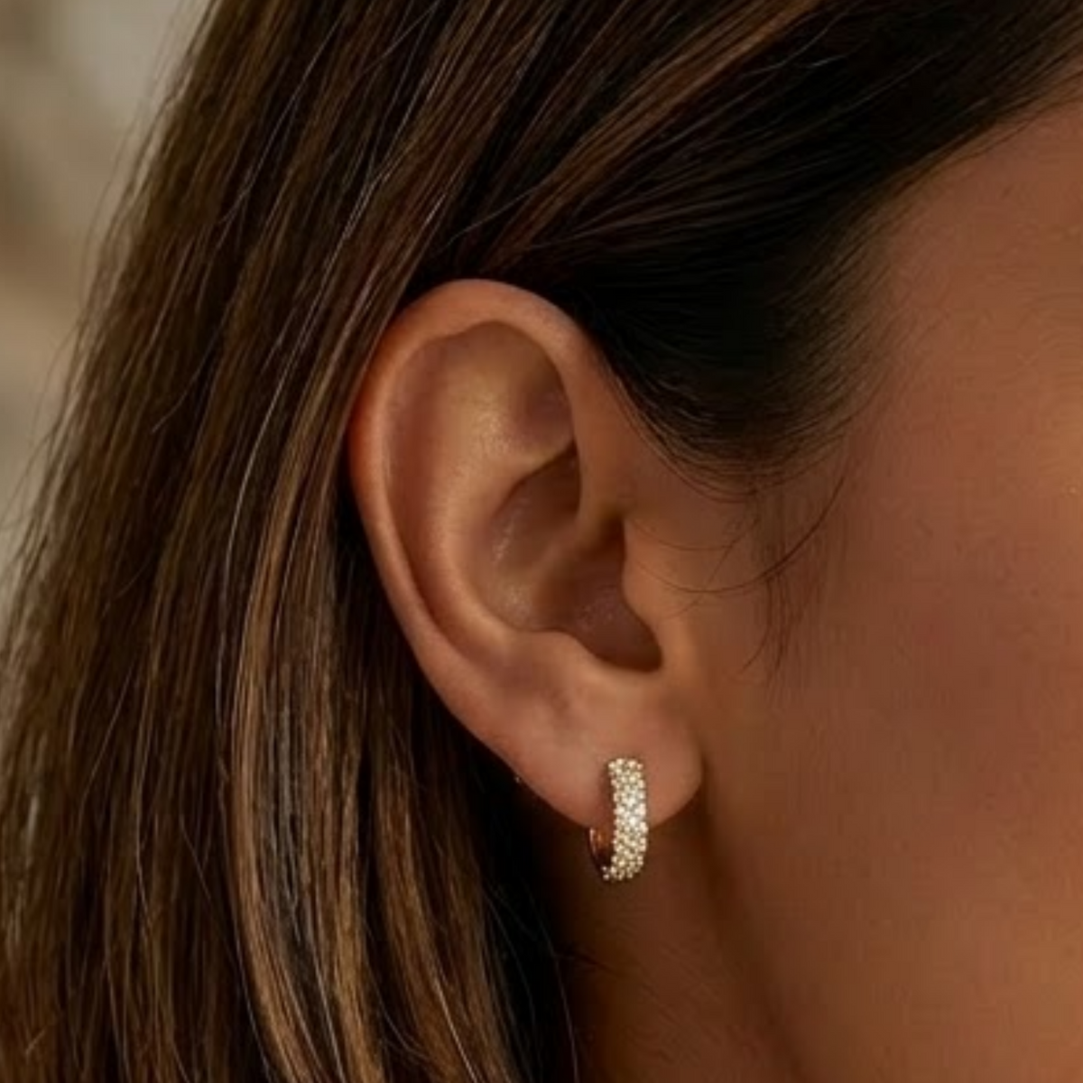 Golden Edge Geometric Circle Gold Plated Hoop Earring
