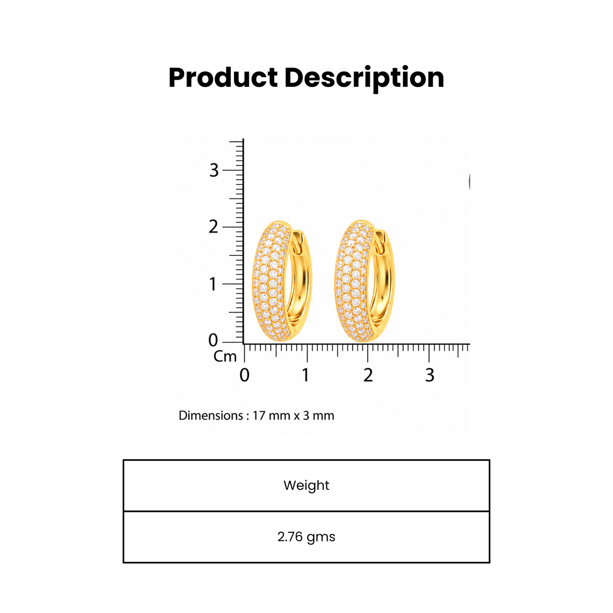Golden Edge Geometric Circle Gold Plated Hoop Earring